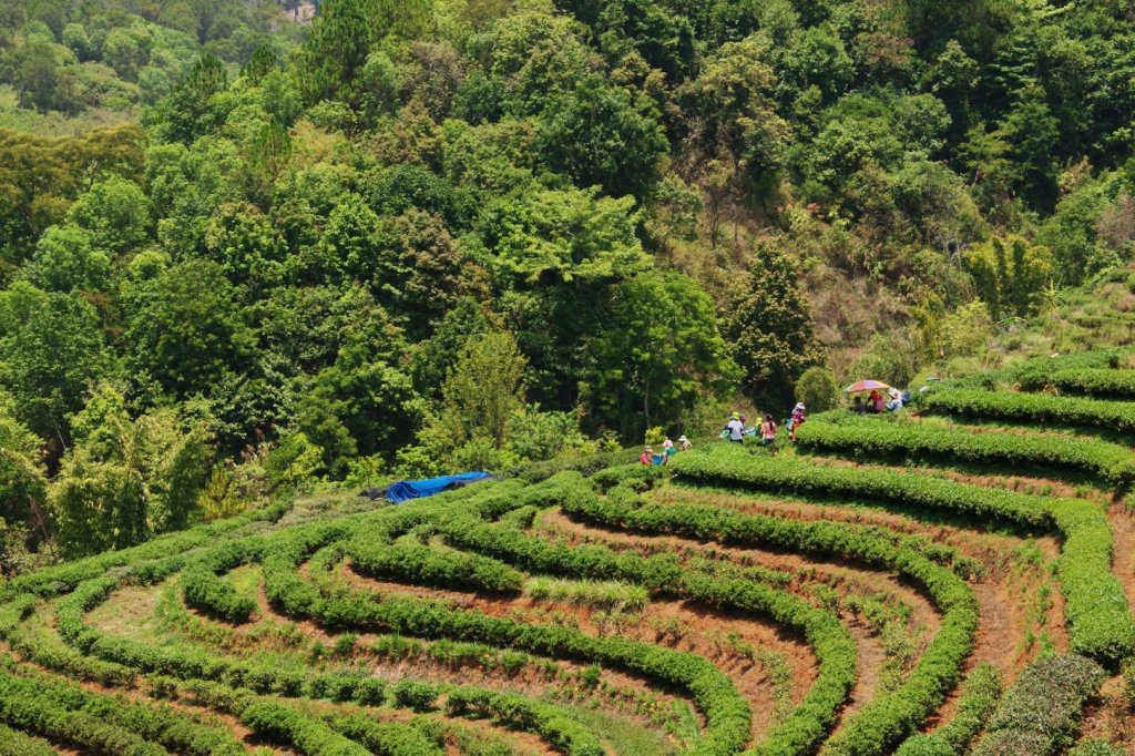 Los agricultores en primera línea del cambio climático: problemas y soluciones