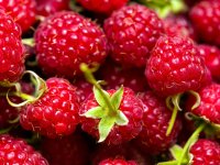 10 Gesundheitsfördernde Aspekte von Himbeeren 10 Gesundheitsfördernde Aspekte von Himbeeren