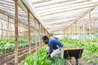 A Human-Centered Approach to Regenerative Farming