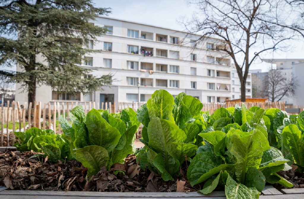Agriculture urbaine et agriculture verticale : l’avenir de l’alimentation?