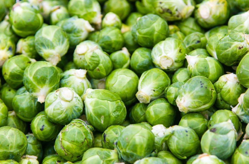 Choux de Bruxelles: histoire, nutrition et bienfaits pour la santé