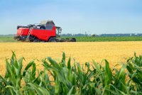 Comprendre l'agriculture: son histoire, son importance et ses différents types
