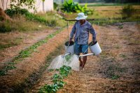 Conseils pour réussir dans l'agroalimentaire Conseils pour réussir dans l'agroalimentaire