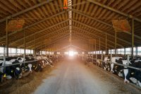 Fundamentals of Livestock Housing for Welfare, Productivity, and Sustainability