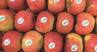 How does a Farm Obtain Biocyclic Vegan Certification How does a Farm Obtain Biocyclic Vegan Certification?