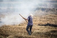 Prescribed Fires: A Farmer's Introduction to Controlled Burning