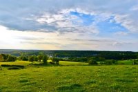 Sustainable Management of Permanent Grasslands for Resilience and Biodiversity