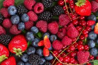 Types of berries-Superfoods