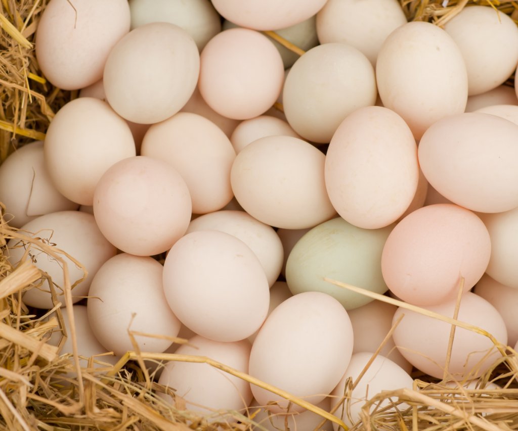 Uova: valore nutrizionale e benefici per la salute