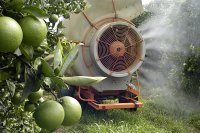 Εχθροί και Ασθένειες στην Καλλιέργειας της Πορτοκαλιάς