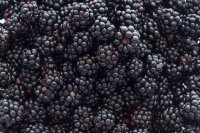 Blackberry Nutritional Value and Health Benefits