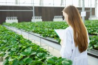 Climate-Resilient Crops: Plant Biotechnology and Breeding for Sustainable Agriculture