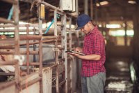 How AI is Revolutionizing Animal Farming: Benefits, Applications, and Challenges