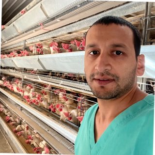 Mostafa Abdellatif - Wikifarmer Mostafa Abdellatif