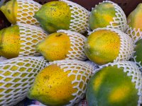 Papaya İşleme, Sınıflandırma ve Paketleme