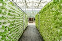 The Global Future of Vertical Farming (2025–2035): A Scenario Analysis Across Continents
