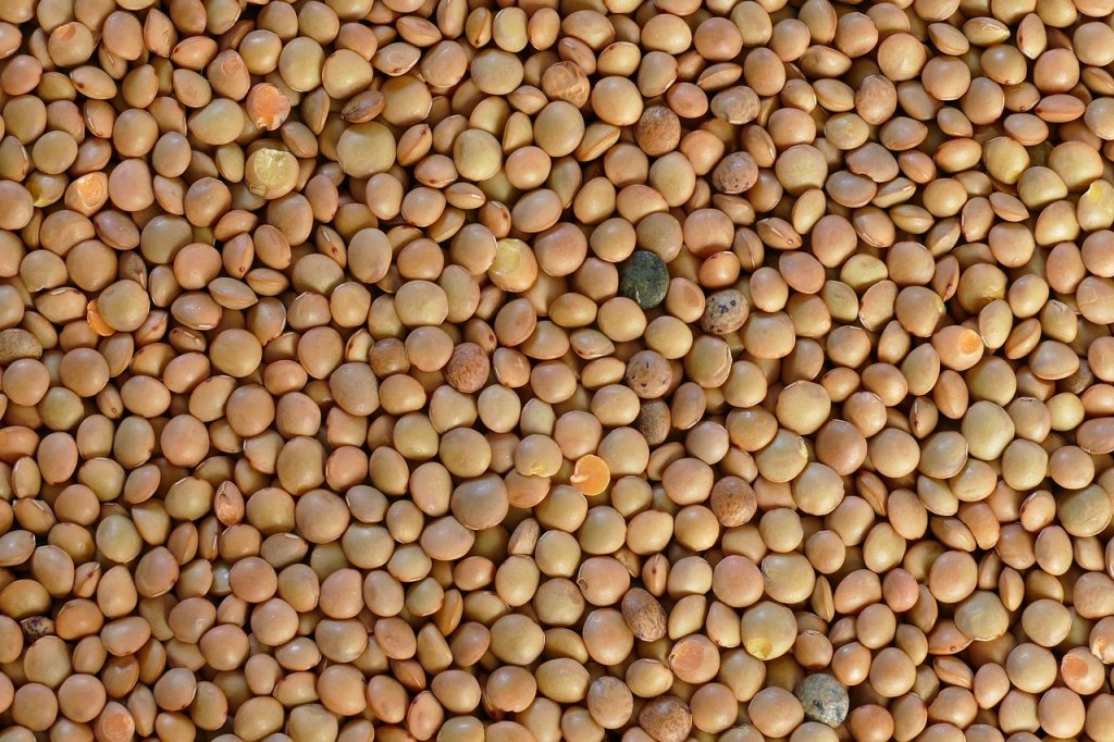 Lenticchie: 15 aspetti interessanti di questo antico legume
