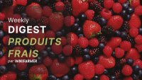 Analyse du marché des petits fruits w14/2025