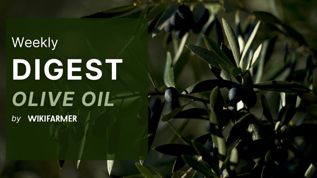 Olive Oil Market Digest w15/2025