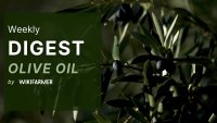 Olive Oil Market Digest w15/2025