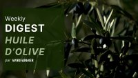 Le marché de l'huile d'olive w15/2025