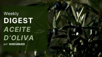 Mercado del Aceite de Oliva w15/2025