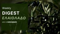 Η Αγορά του Ελαιολάδου w15/2025