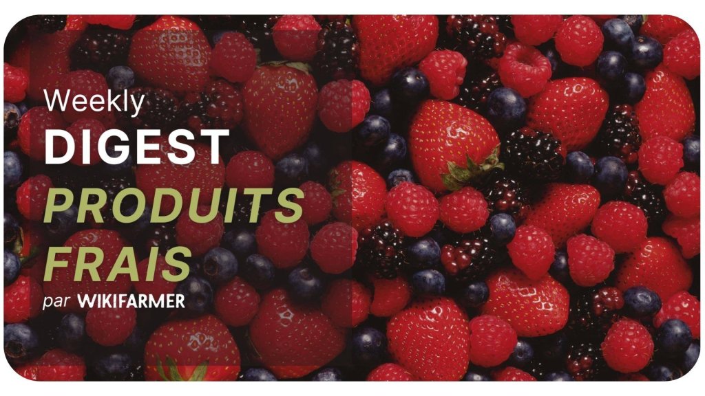 Analyse du marché des petits fruits w12/2025