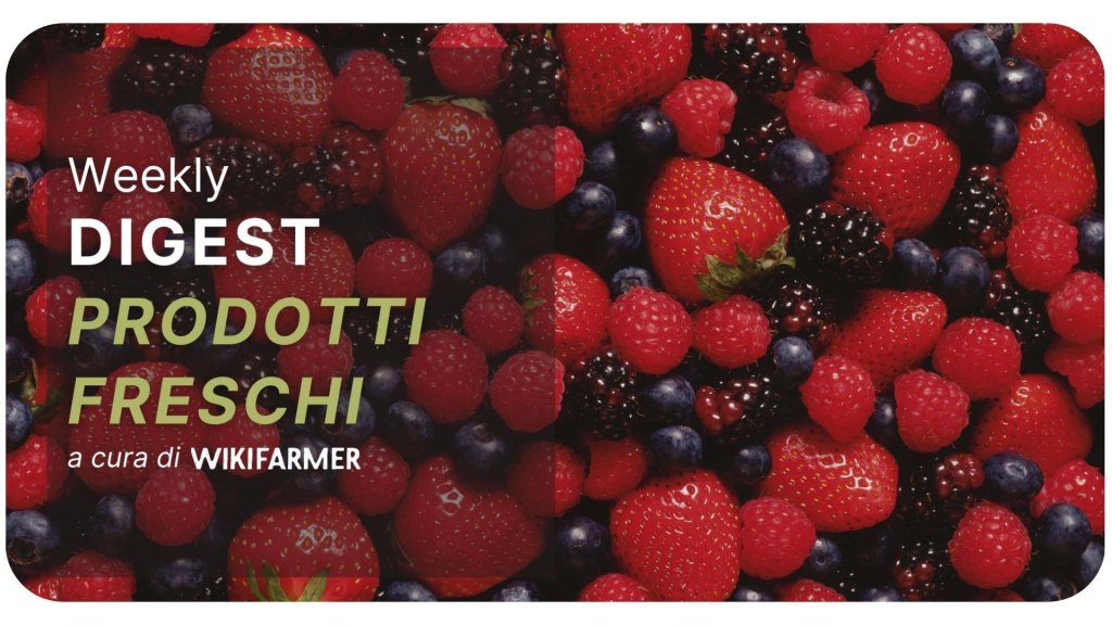 Approfondimento sul mercato dei frutti di bosco w12/2025