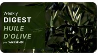 Le marché de l'huile d'olive w13/2025