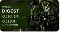 Il Mercato dell' Olio d' Oliva w13/2025