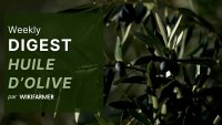 Le marché de l'huile d'olive w20/2025