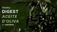 Mercado del Aceite de Oliva w4/2025