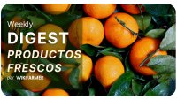 Boletín del mercado de cítricos w9/2025