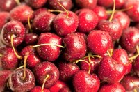Ciliegie: informazioni, dati, valori nutrizionali e benefici per la salute