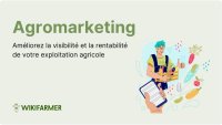 Comment améliorer la rentabilité de votre exploitation agricole: Agromarketing 101