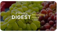 Analyse du marché des raisins w37/2024
