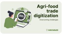 Ottimizzazione del commercio agroalimentare: superare le sfide della digitalizzazione
