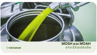 Κατανοώντας τα MOSH και MOAH στο ελαιόλαδο