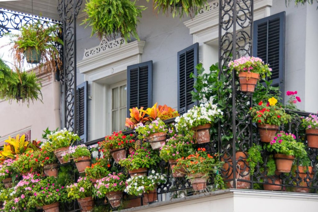 Comment garder vos plantes de balcon vivantes pendant l'été : conseils d'entretien au quotidien pour les jardiniers