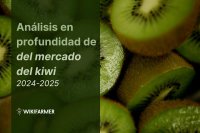 Análisis profundo del mercado del kiwi: Estudio integral de precios 2024–2025