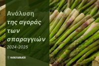 Ανάλυση της αγοράς των σπαραγγιών: Μελέτη των τιμών 2024-2025