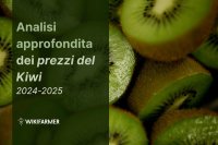 Analisi approfondita dei prezzi del kiwi: studio completo sui prezzi 2024-2025