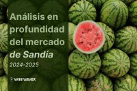 Análisis Profundo de los Precios de Sandía: Estudio Integral 2024-2025