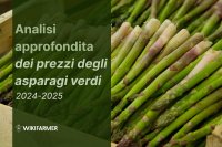 Analisi approfondita dei prezzi degli asparagi verdi: studio completo sui prezzi 2024-2025