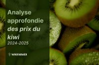 Analyse approfondie des prix du kiwi : étude complète des prix 2024-2025
