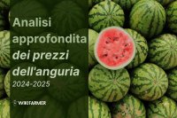 Analisi approfondita dei prezzi dell'anguria: studio completo sui prezzi 2024-2025