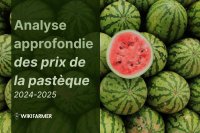 Analyse approfondie des prix de la pastèque: une étude complète des prix 2024-2025