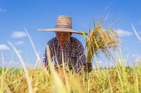 The Beginner's Guide to Setting Up a Sustainable Farm