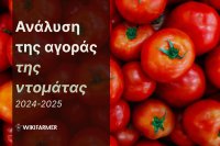Ανάλυση της Αγοράς Τομάτας: Μελέτη των τιμών 2024–2025